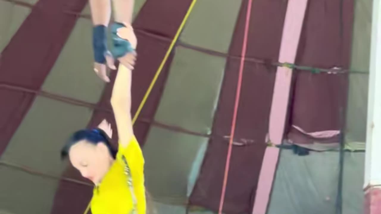 New Circus 🎪 video