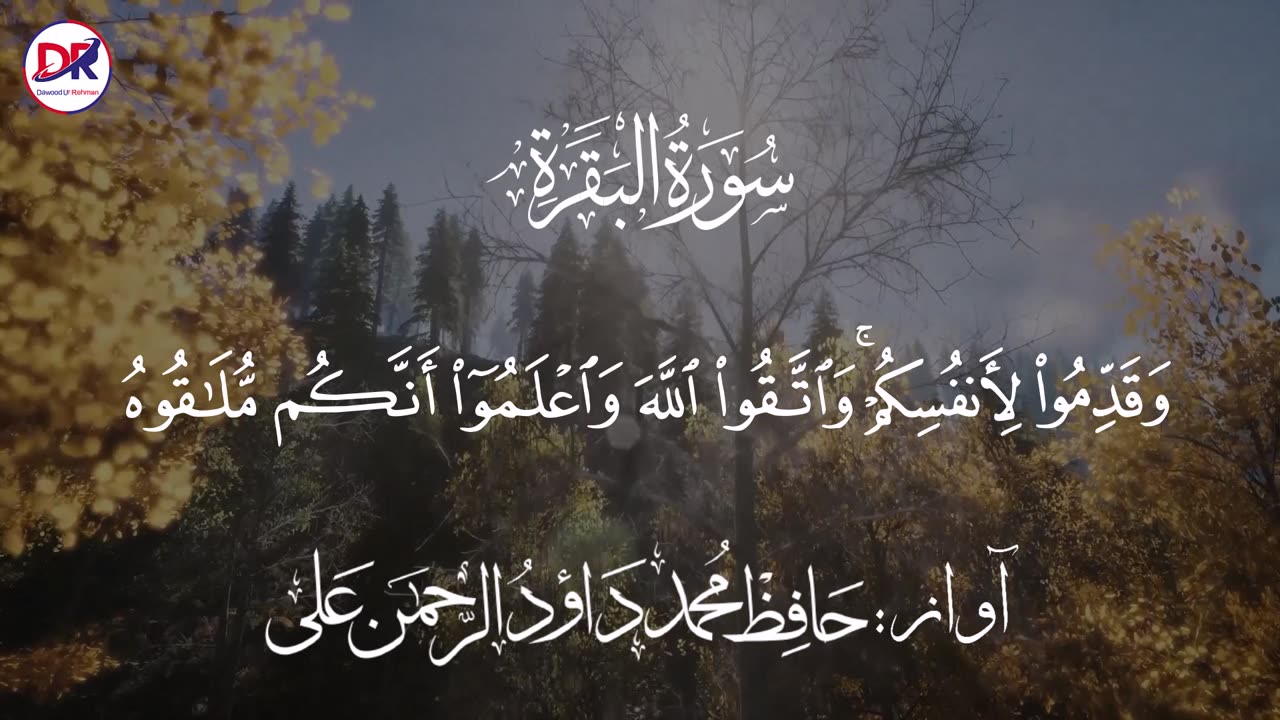 Surah Al Baqarah | Muhammad Dawood Ur Rehman Ali