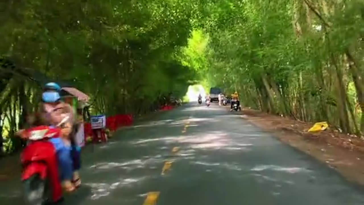 Video 11: Charming scenery!!!