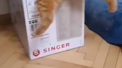 😍😍😘🔥 😍💦 FUNNY Animals and pet's💕😘 😘🔥 💕😘 😍💦 💦