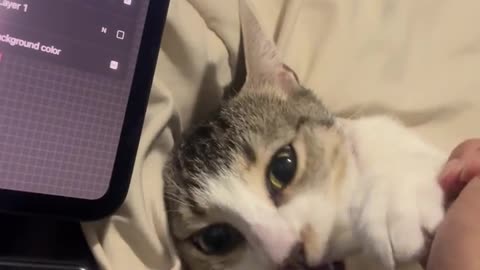 😱🤣 She Just Won't Let Me Work! The Relatable Cringe! | FunFM