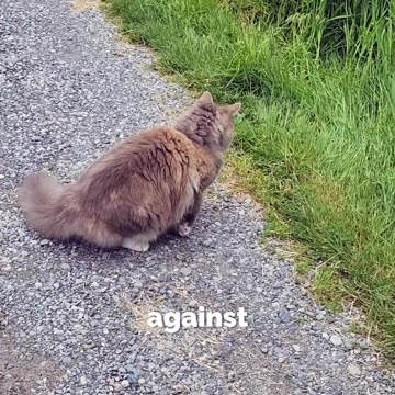 Conquer Evil by Good