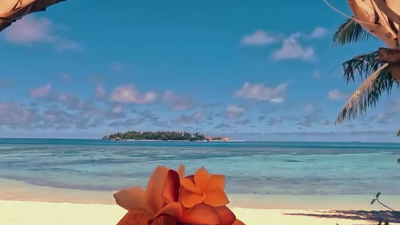 LIKE AND SUBSCRIBE