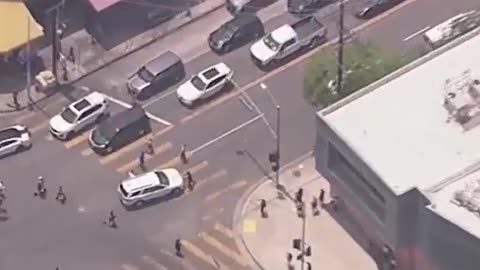A pro-illegal immigration activist tries—and fails (no pun intended 😂)