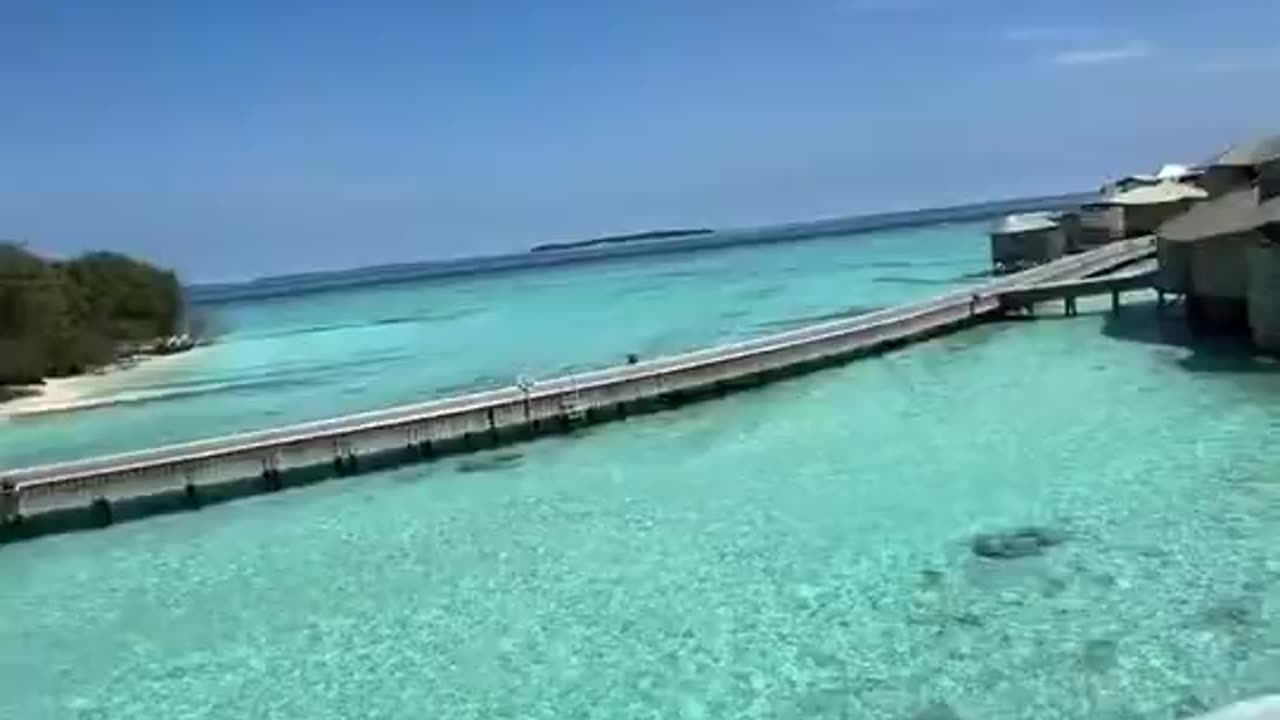 And they say money can’t buy happiness.