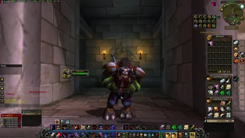 WoW Classic Warrior Docuseries Part 40: Scarlet Armory and Flight Point gathering.