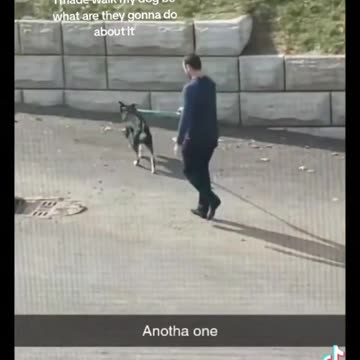 posting all my hookups that I made walk my dog