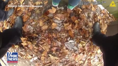 Three Young Boys in Ohio — Ages 8, 11, and 12 — Led Police on a Chase in a Stolen Car