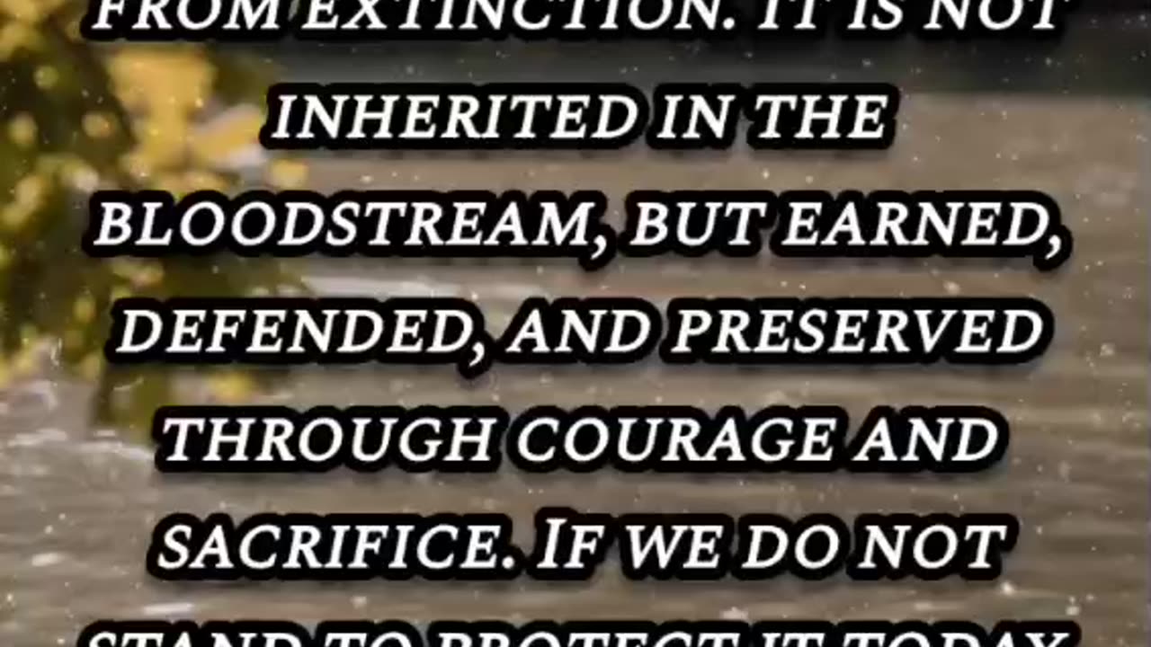 Freedom Is Our Legacy
