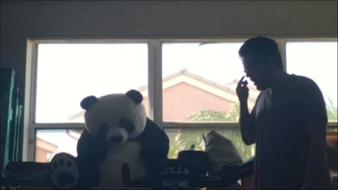 Panda entertainment 🐼