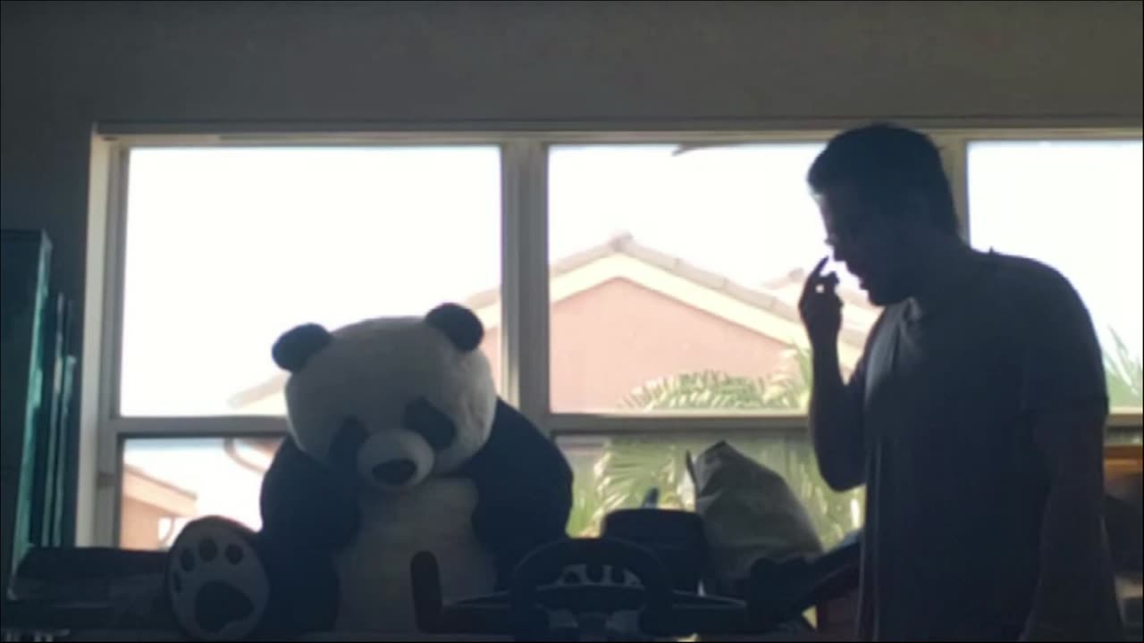 Panda entertainment 🐼