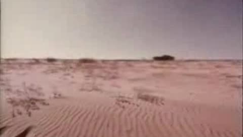 Commercial - 1969 Ford Mustang Mach I