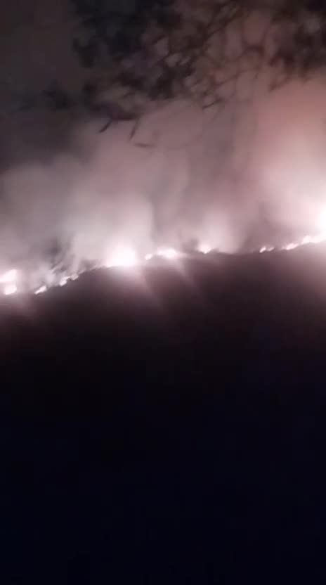 Vijon prej ditësh zjarri në Bashaj/ Flakët rrezikojnë zonën e mbrojtur të Piksit