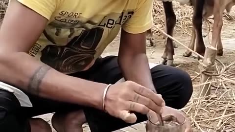 Indian man drinks dungshake