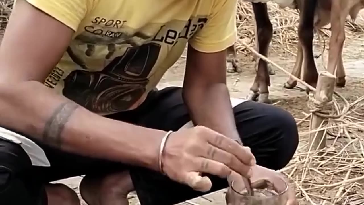 Indian man drinks dungshake