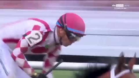Preakness 2025