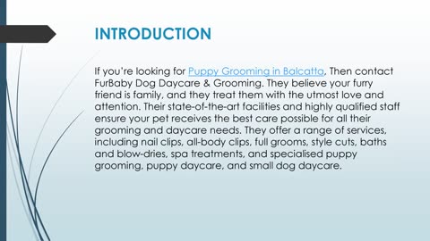 Best Puppy Grooming in Balcatta