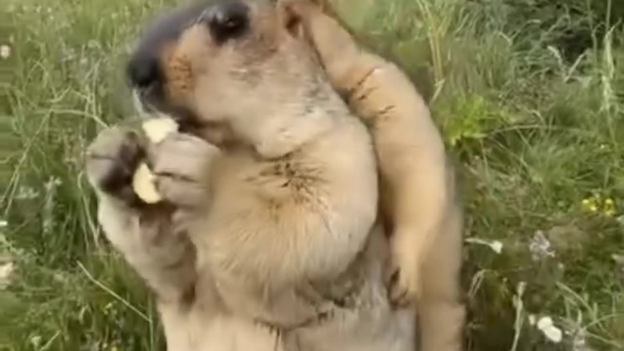 ?