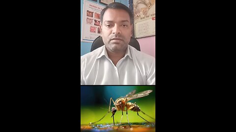 मच्छरों से इंसानों में होने वाली बीमारियां ।