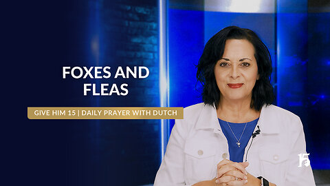Foxes and Fleas | Give Him 15: Daily Prayer with Dutch | May 27, 2025