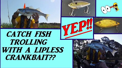 I NEVER TROLLED WITH LIPLESS CRANKBAITS...UNTIL NOW!! KAYAK FISHING!