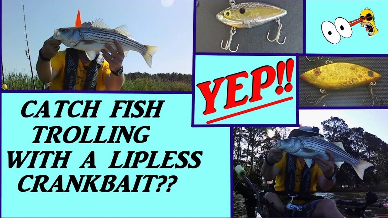 I NEVER TROLLED WITH LIPLESS CRANKBAITS...UNTIL NOW!! KAYAK FISHING!