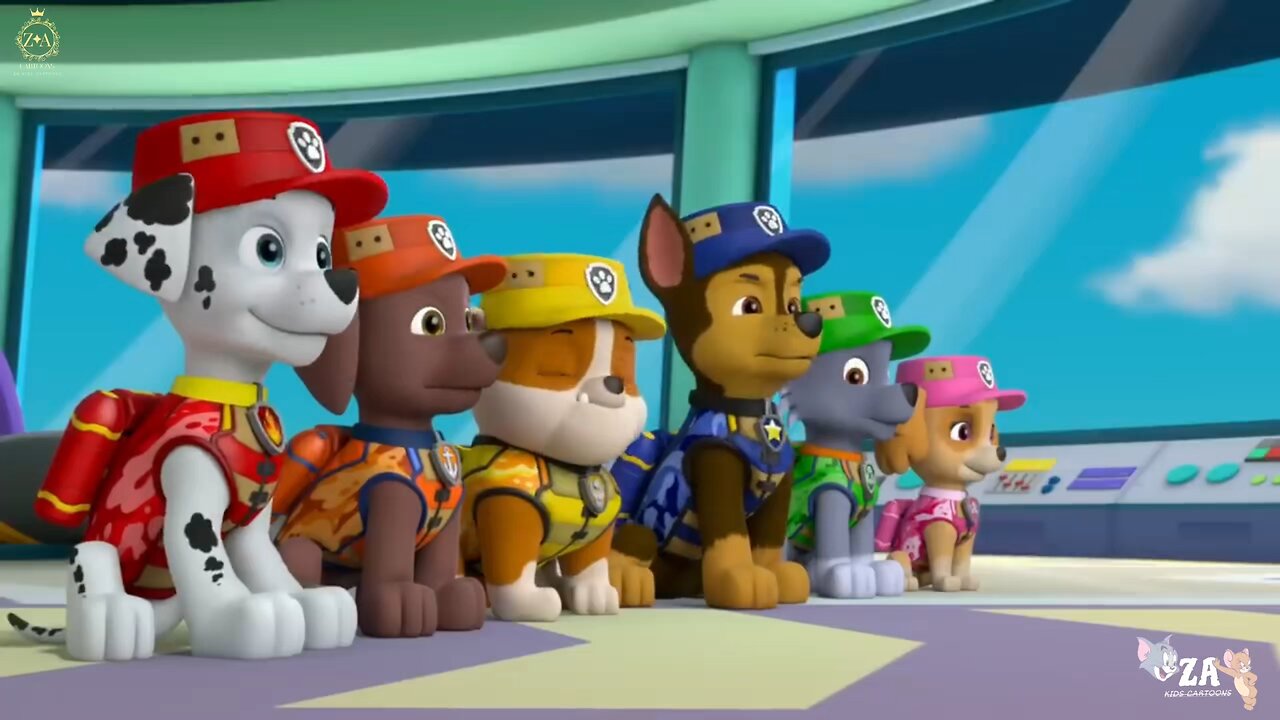 PAW Patrol Cartoons