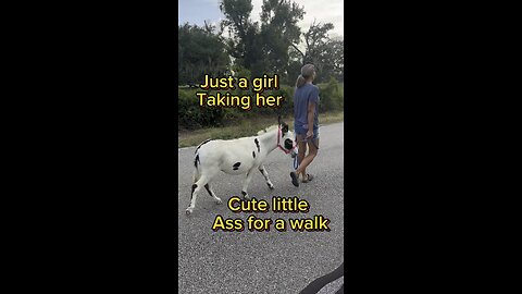 Just a girl taking her cute little ass for a walk!