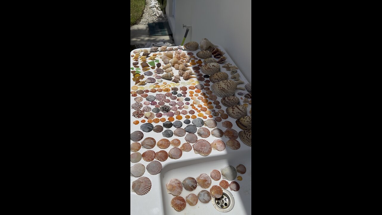 Beach Finds 8/25/2025 | 4K