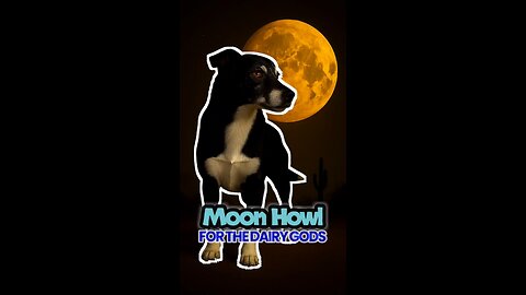 Moon Howl for the Dairy Gods