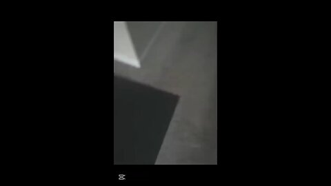 the funny cat videos on the world 🌎
