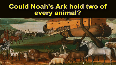 Could Noah’s Ark have held a pair of all the world’s creatures?