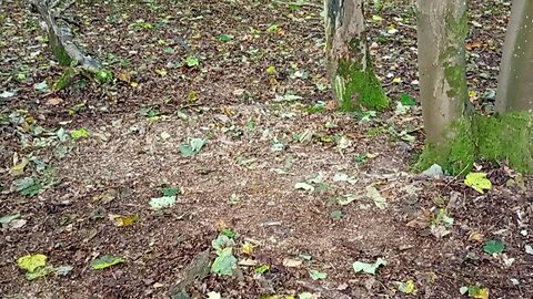 dry patch, sorry ladies (2)