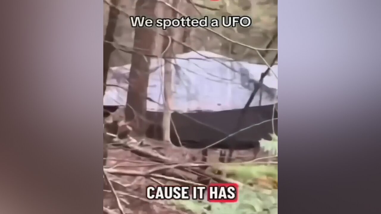 Saucer Seen in Forest