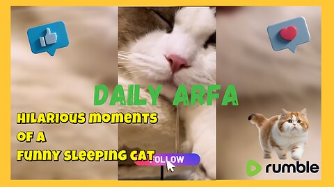 Soo funny | Funny Moments Of a Sleeping Cat | #rumble #funnycat #viralvideos