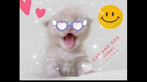 Funniest Cats and Dogs Clip 🐶😹Try Not To Laugh