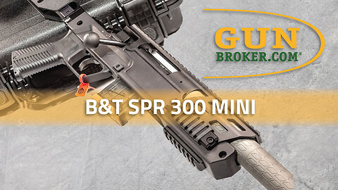 B&T SPR 300 Mini: A Compact Take on the SPR 300 | GunBroker