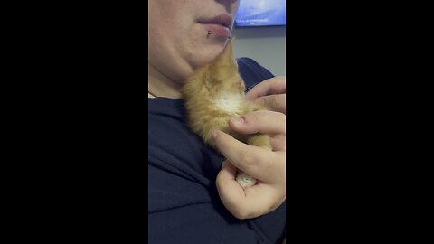 Jeremiah Update, doing much better since he was found.