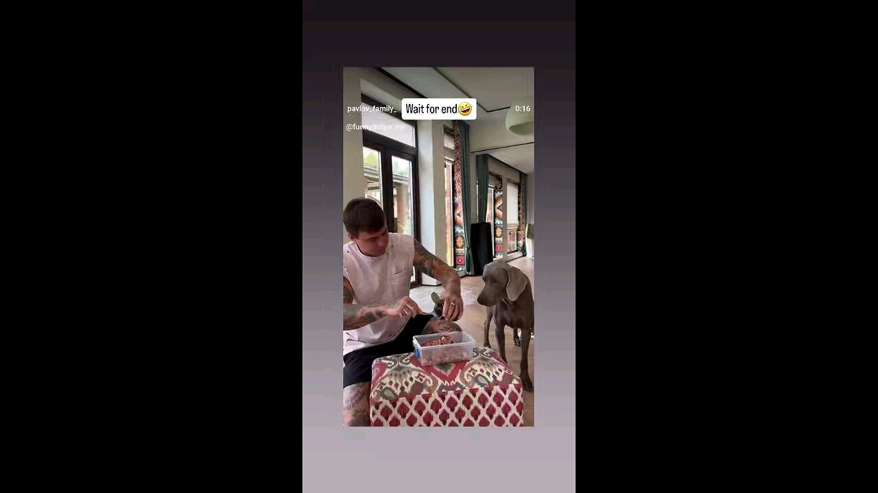 पकड़ कर रखो