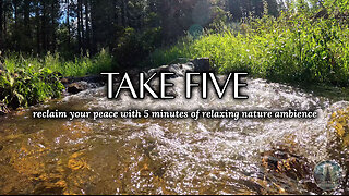 "Hit Pause: take 5 Minutes to Yourself"