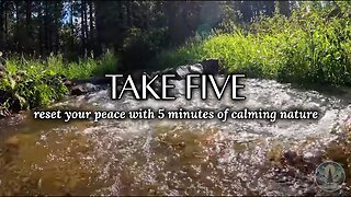 Reset Your Peace: 5 Minutes of Relaxing Nature Sounds 🌿🧘‍♀️ | Sounds of Nature