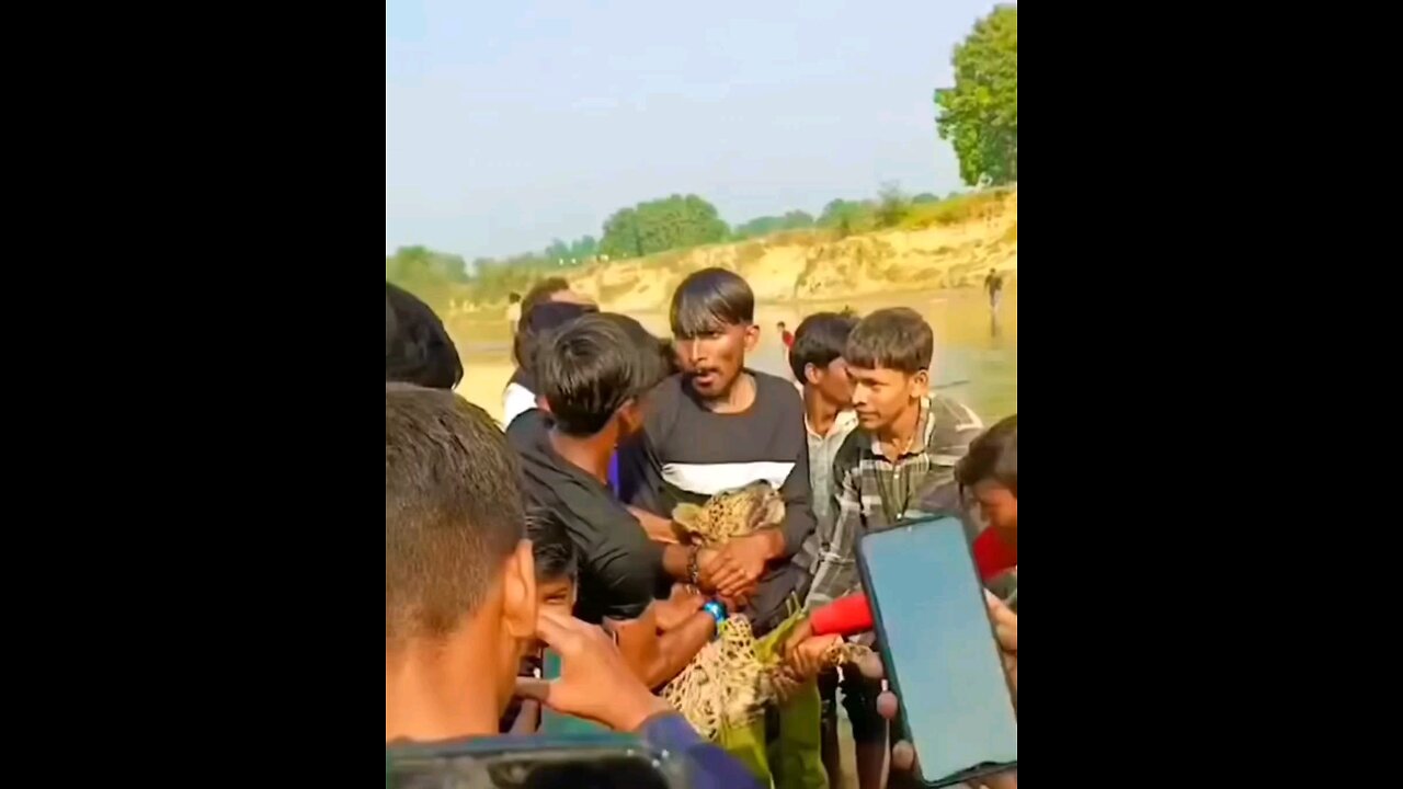 India Is Not For Beginner