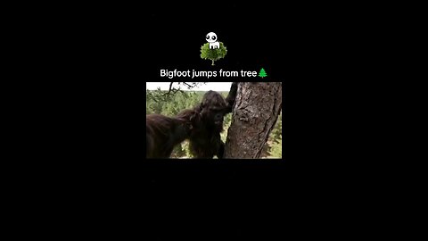 Bigfoot jumps from tree