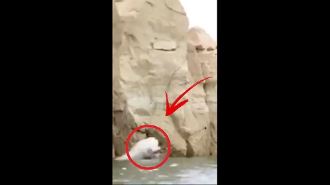 Proof That Humans Need a Reboot 😂 | Epic Human Fails Ahead!