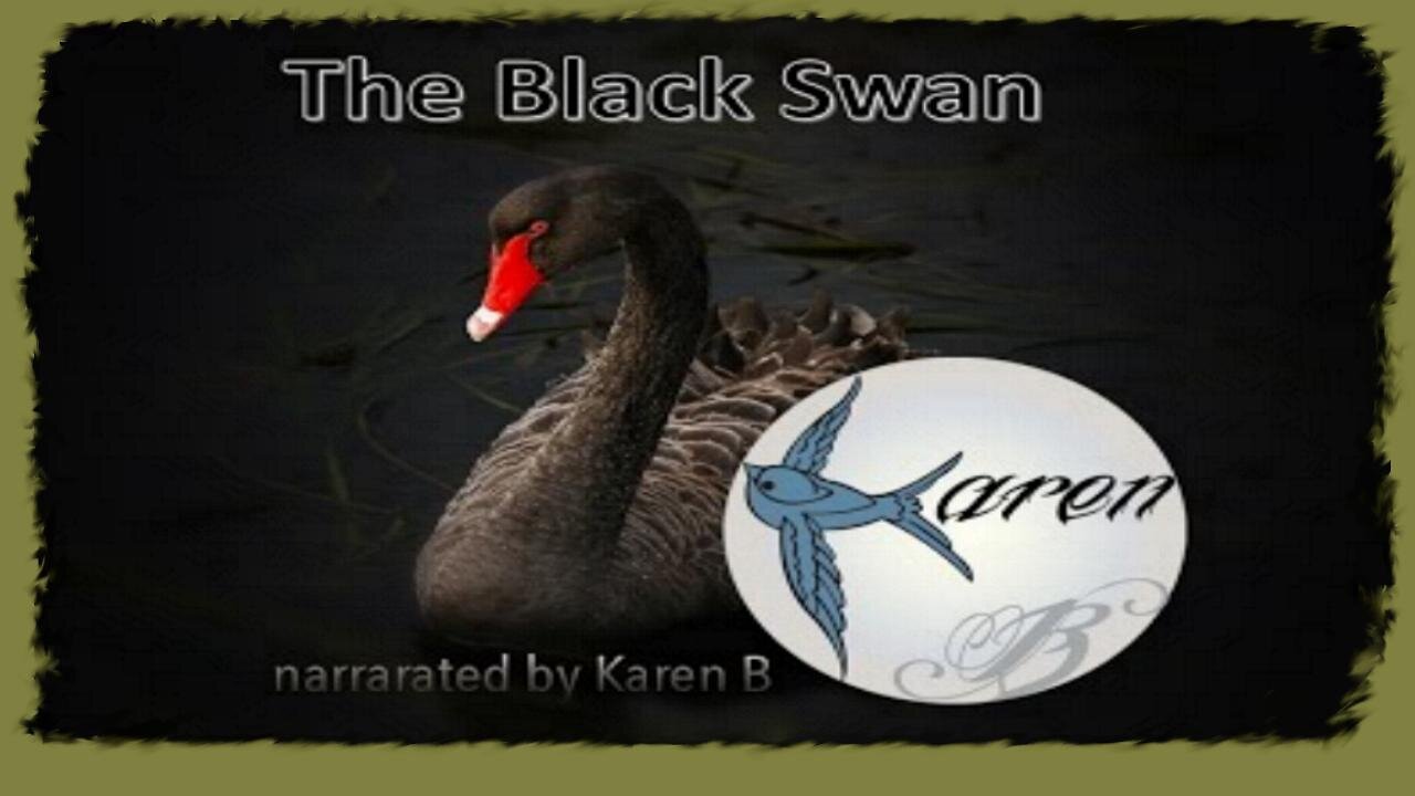 The Black Swan – An observation and its implications for a globe model (mirror)