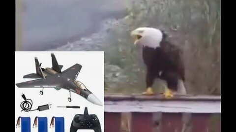 SU-35 Upgraded RC Plane #Soaring20s