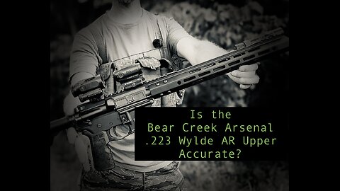 BCA .223 Wylde 100 yard Accuracy