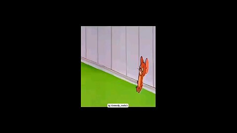 Tom & Jerry Cartoon