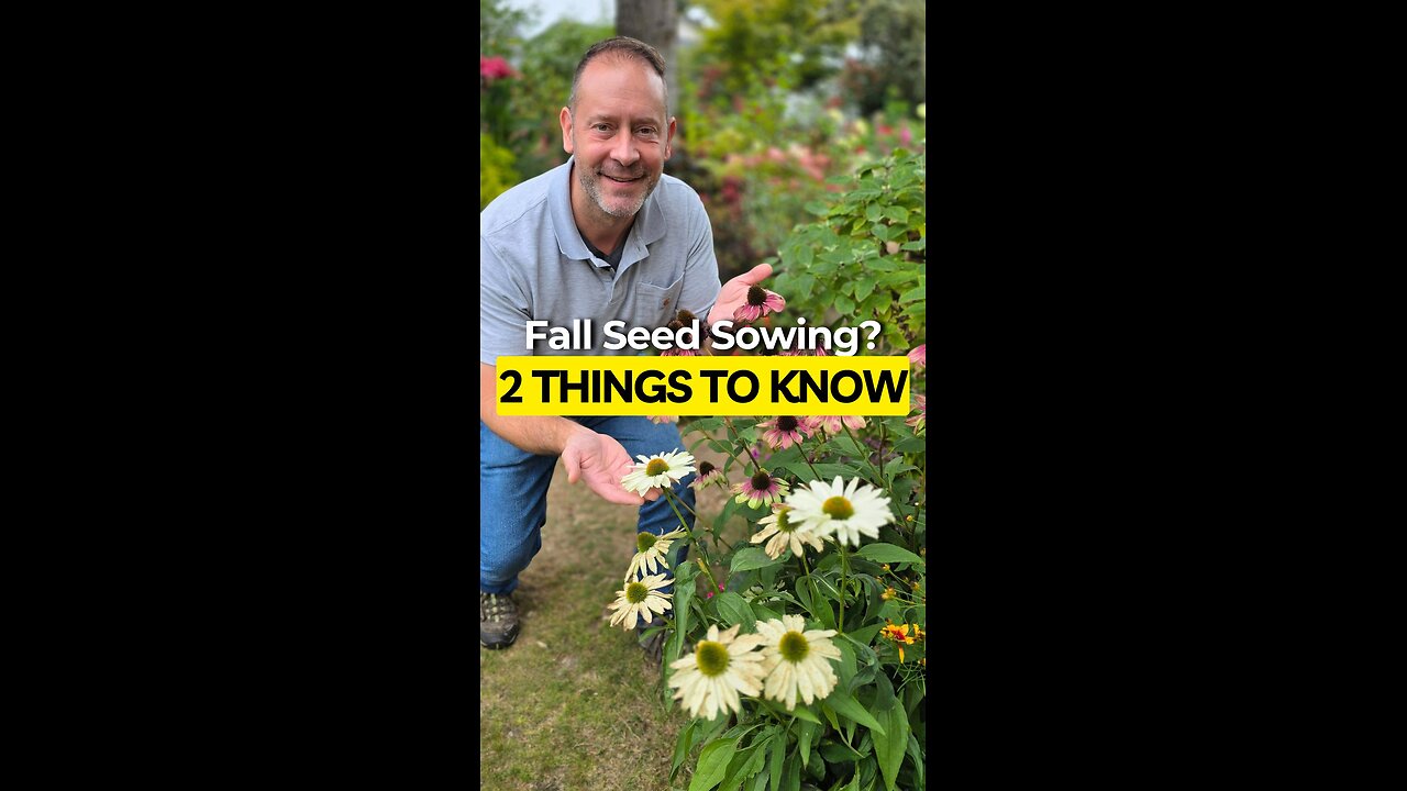 When To Sow Perennial Seeds This Fall
