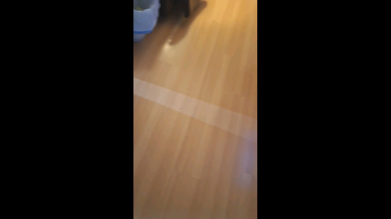 Mim trying to go through her bills and statements! 😓